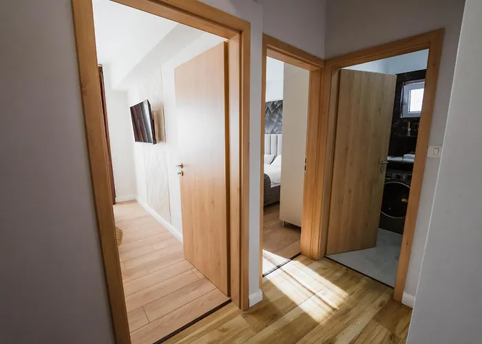 Heart Of The 3 Timişoara